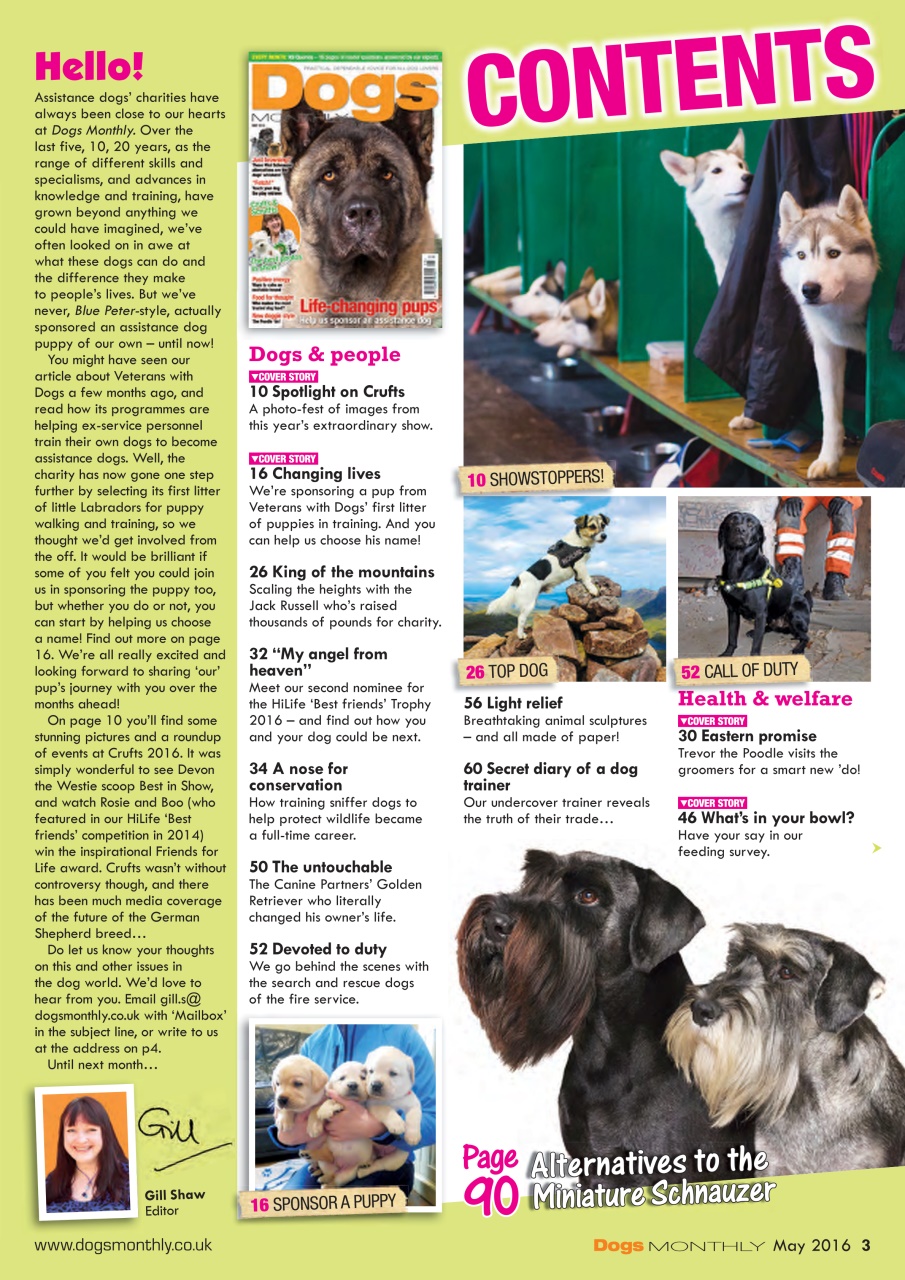 Dogs Monthly Preview Pages