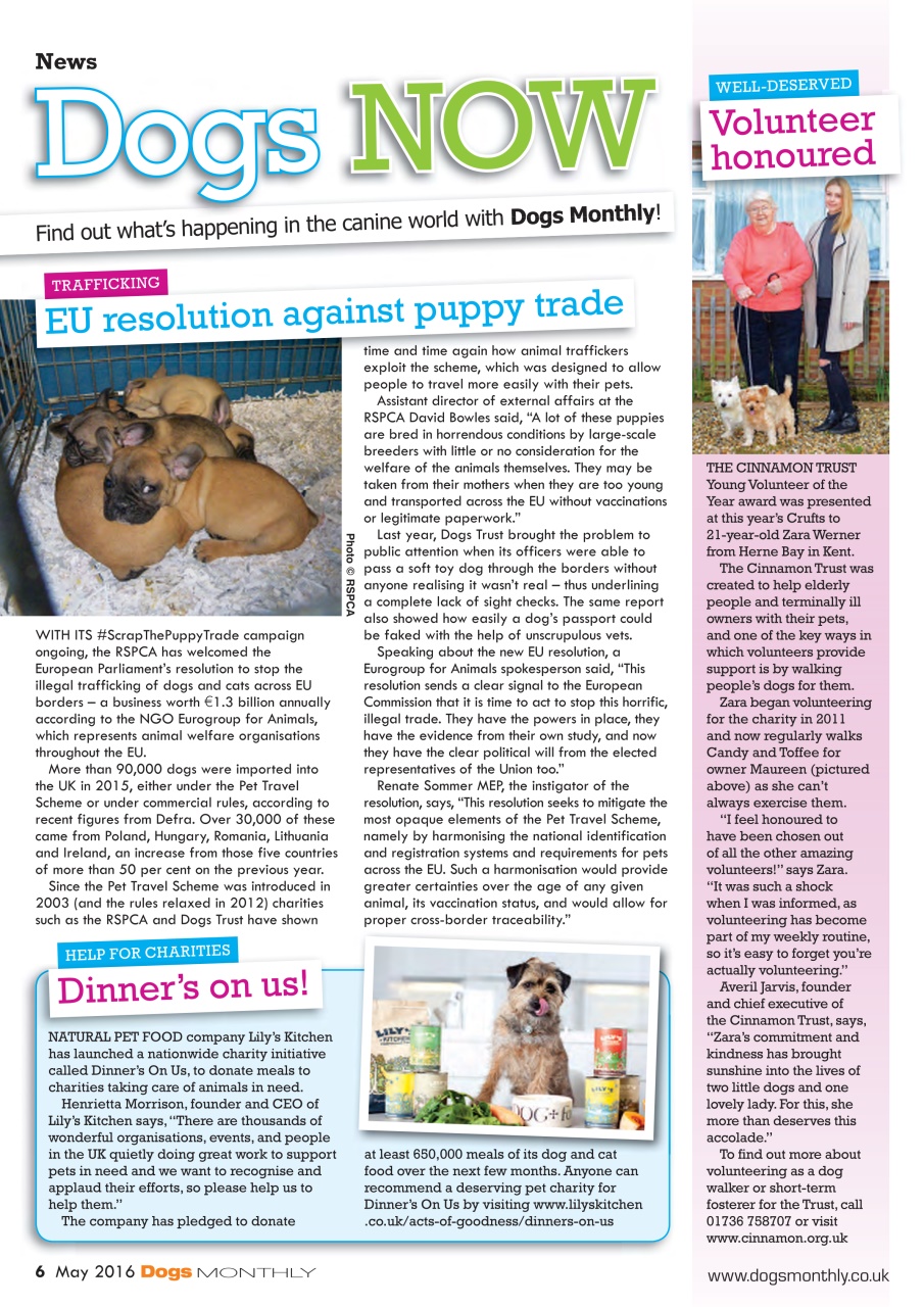 Dogs Monthly Preview Pages