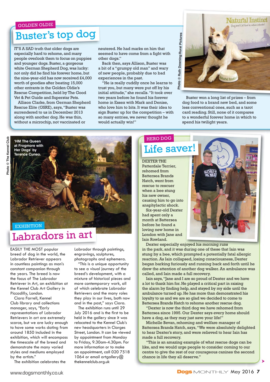 Dogs Monthly Preview Pages