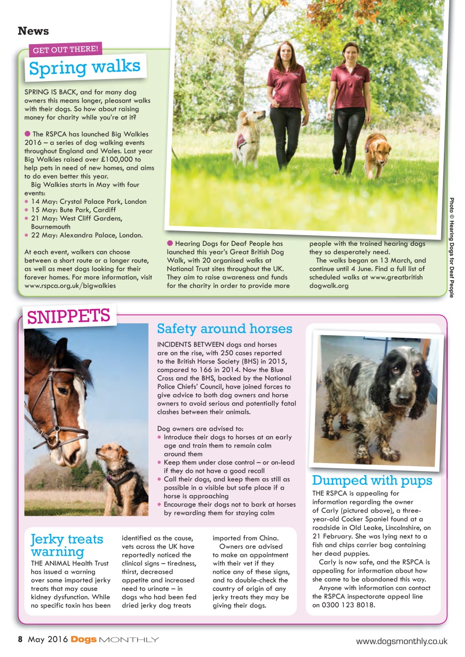 Dogs Monthly Preview Pages