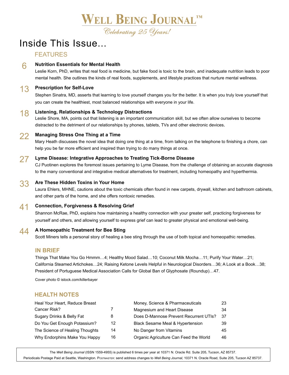 Well Being Journal Preview Pages
