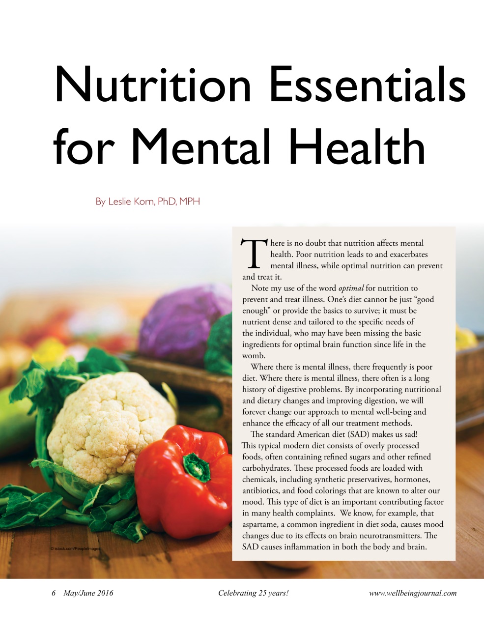 Well Being Journal Preview Pages