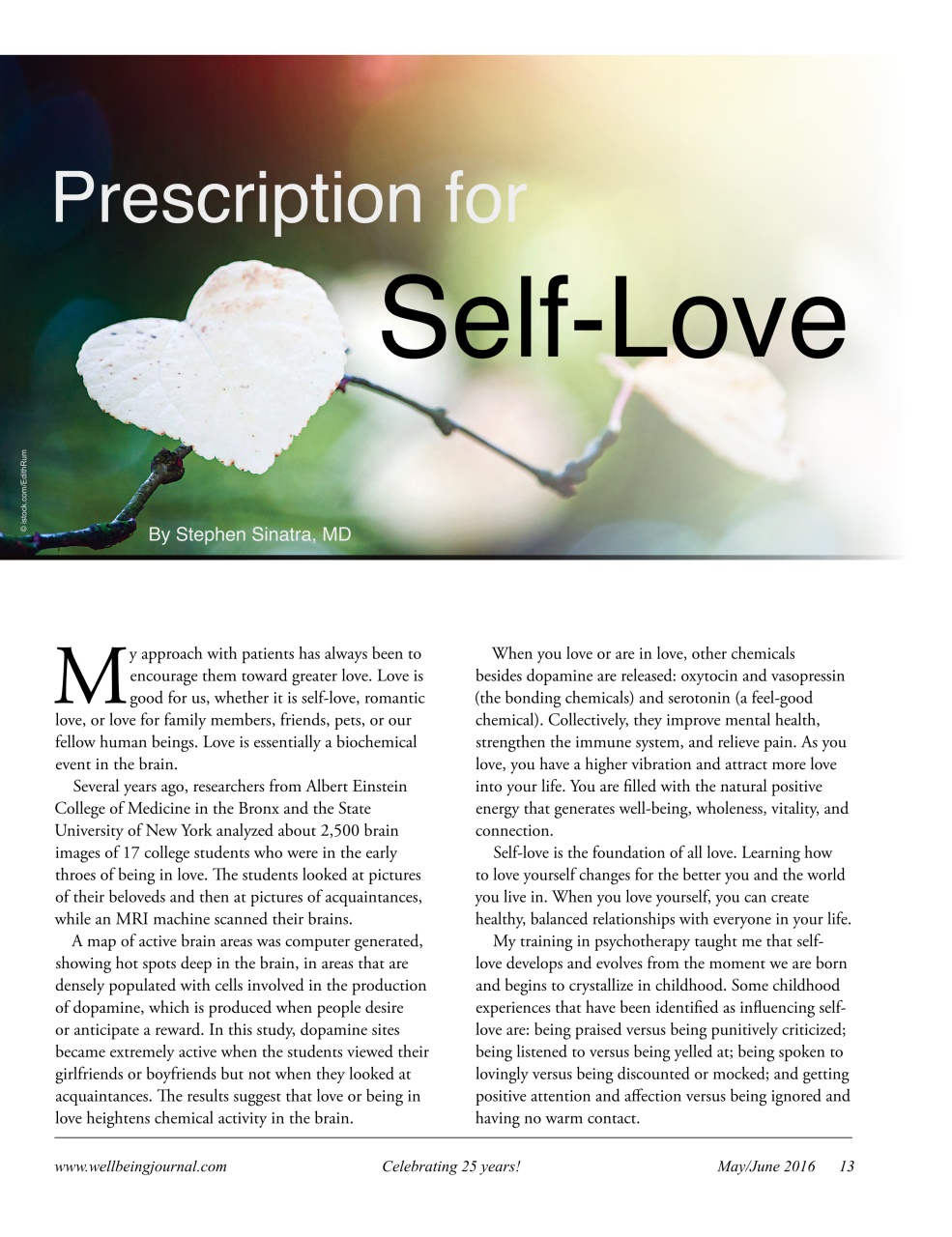 Well Being Journal Preview Pages