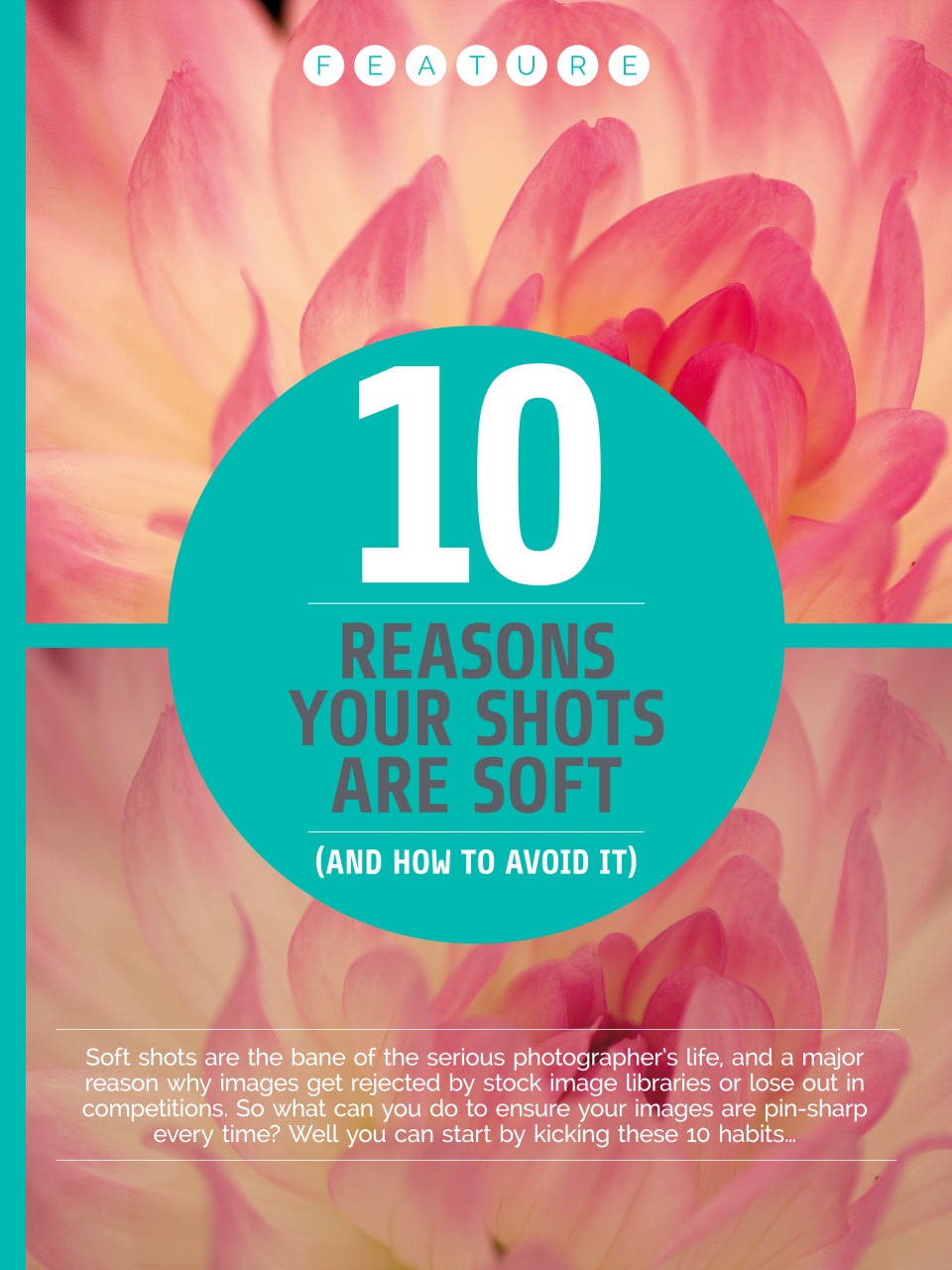 Photography Week Preview Pages