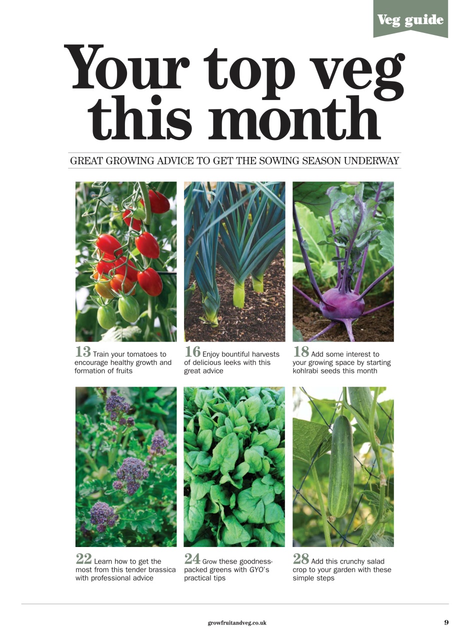 Grow Your Own Preview Pages