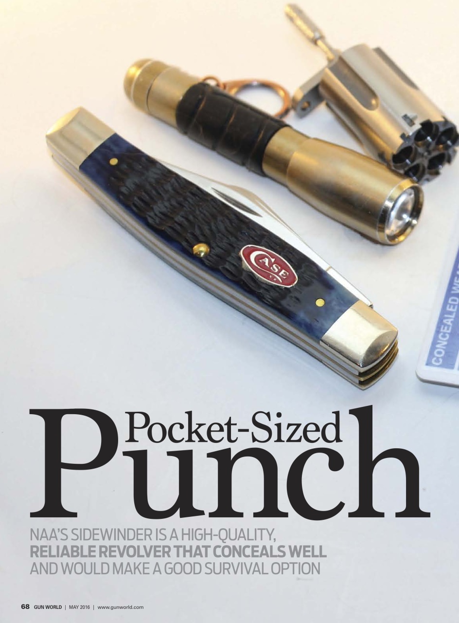 Gun World Preview Pages