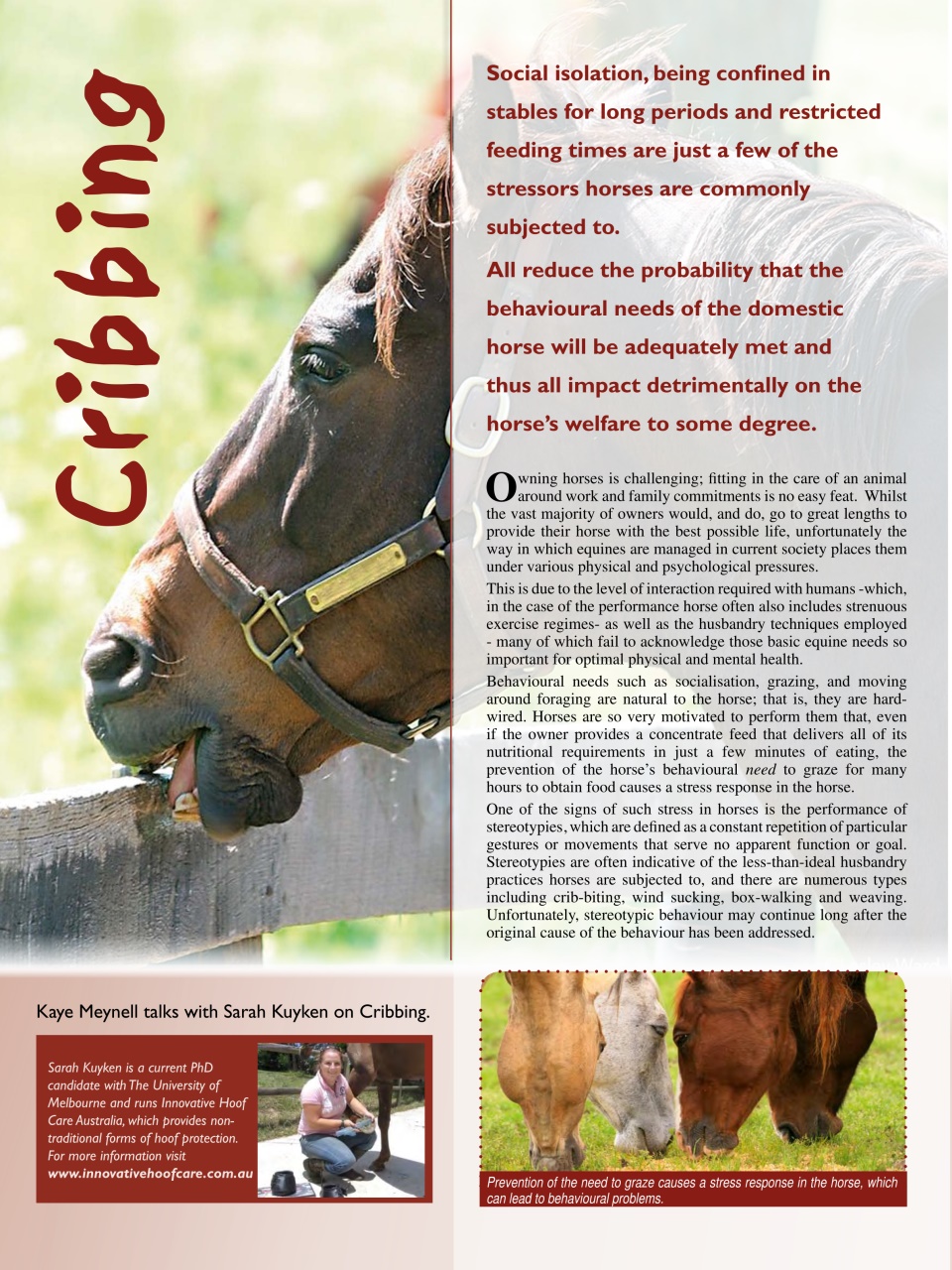 Hoofbeats Preview Pages