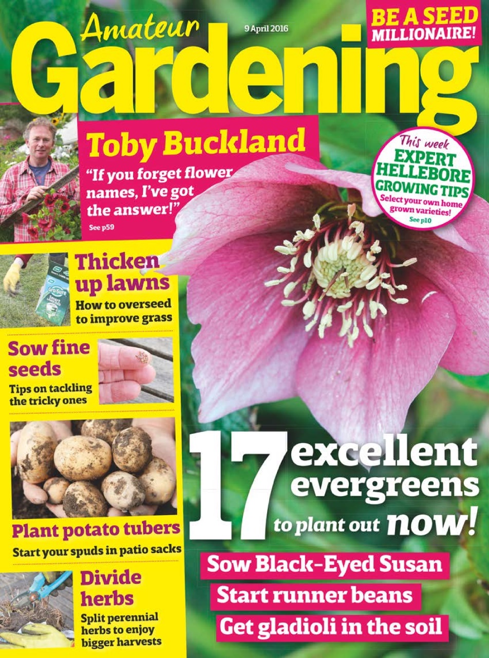 Amateur Gardening Preview Pages