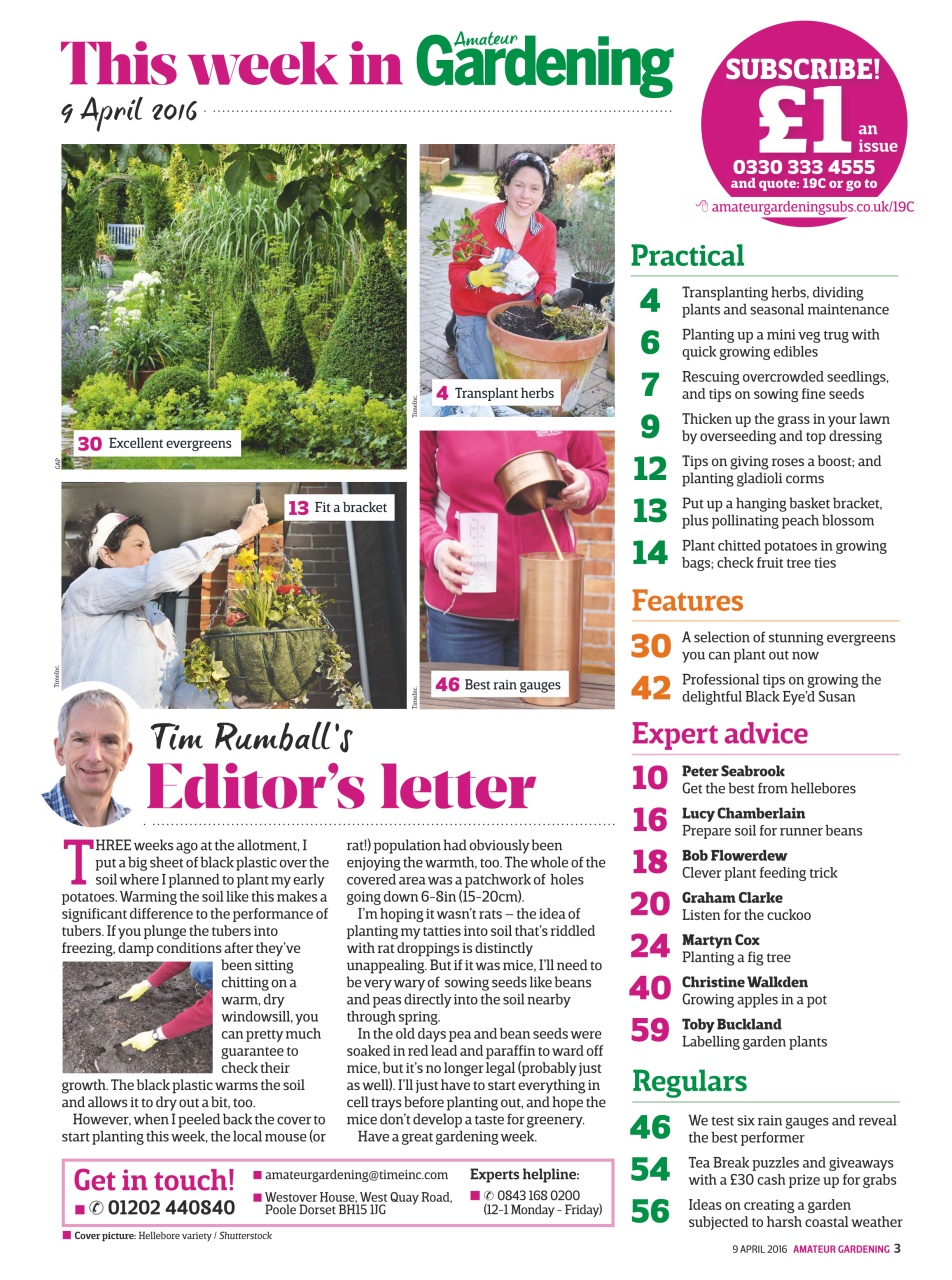 Amateur Gardening Preview Pages