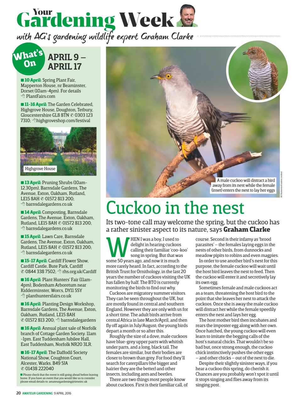 Amateur Gardening Preview Pages