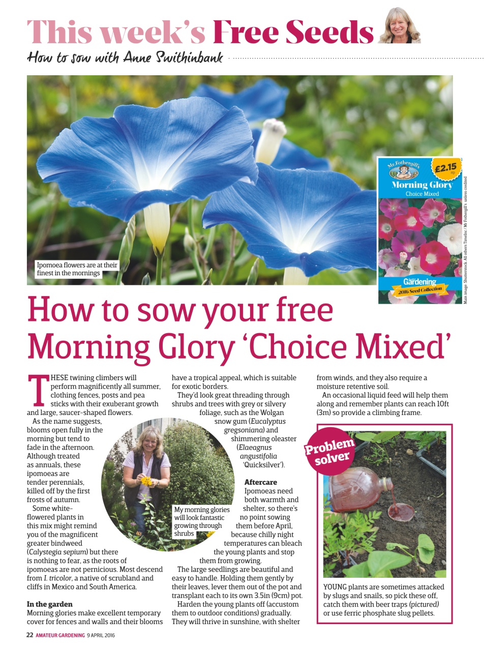 Amateur Gardening Preview Pages