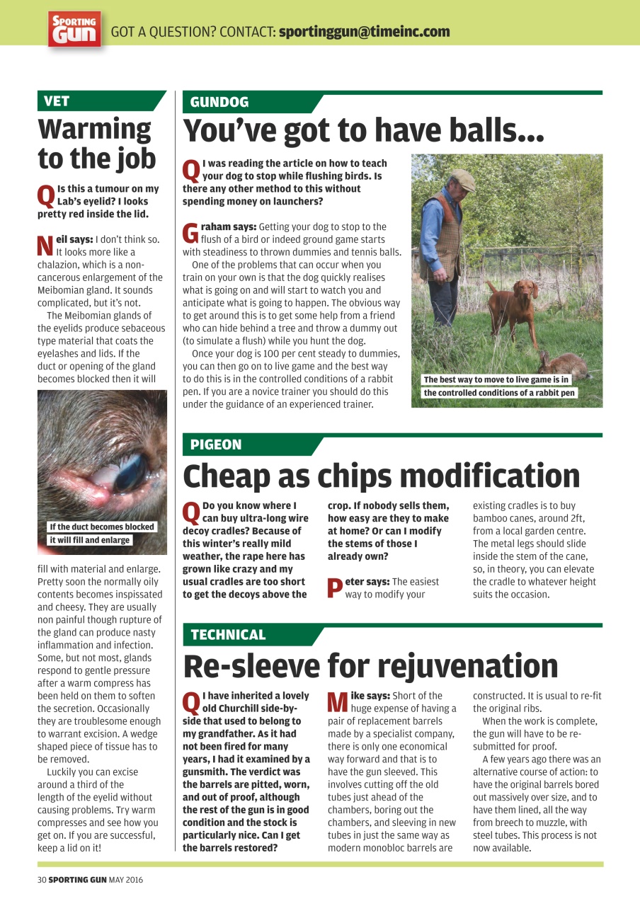 Sporting Gun Preview Pages