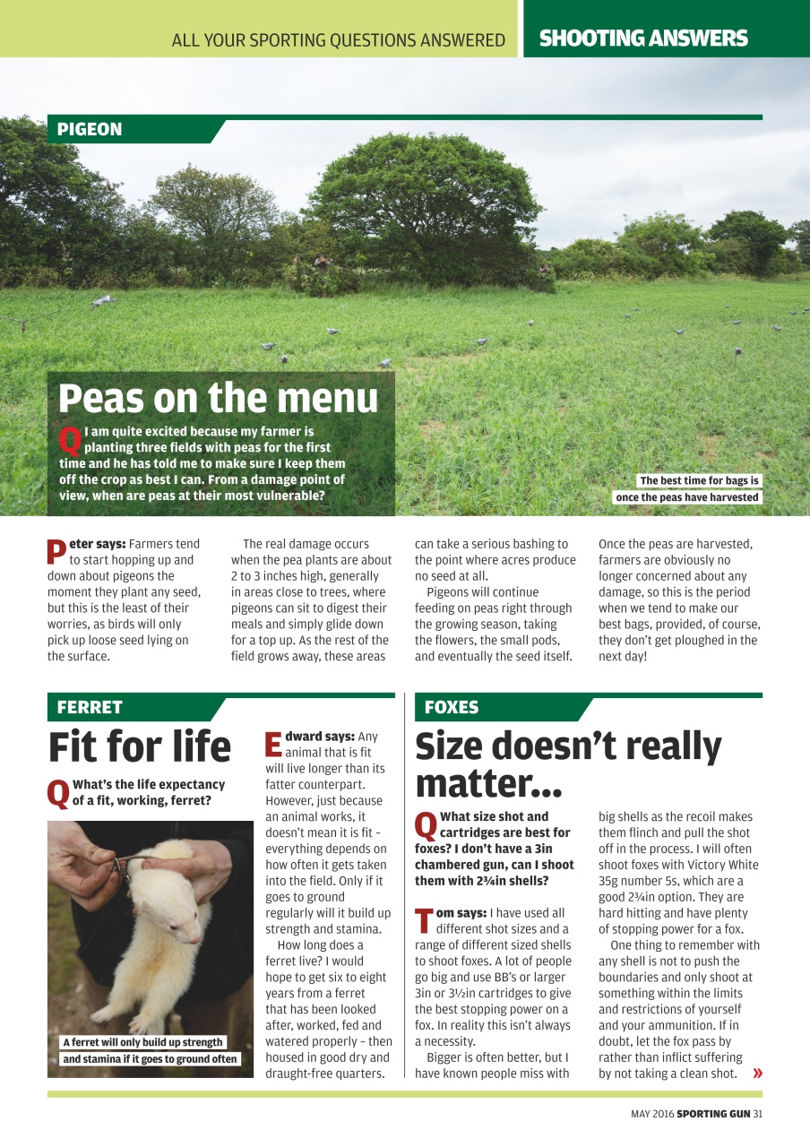 Sporting Gun Preview Pages