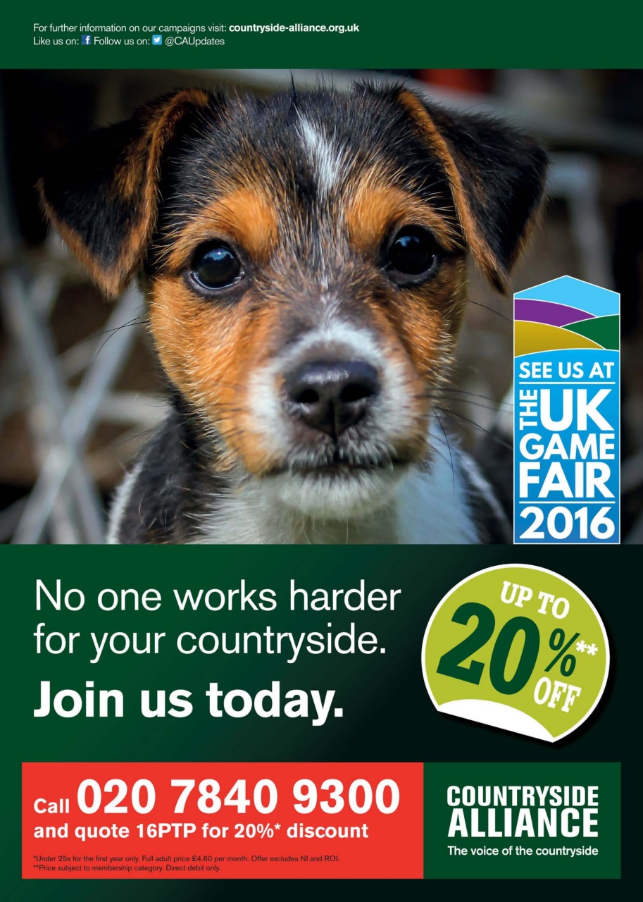 Airgun Shooter Preview Pages