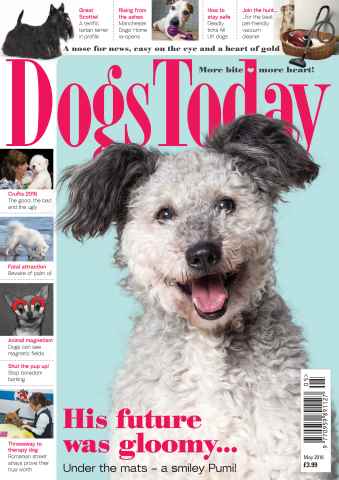Dogs Today Magazine issue May 2016
