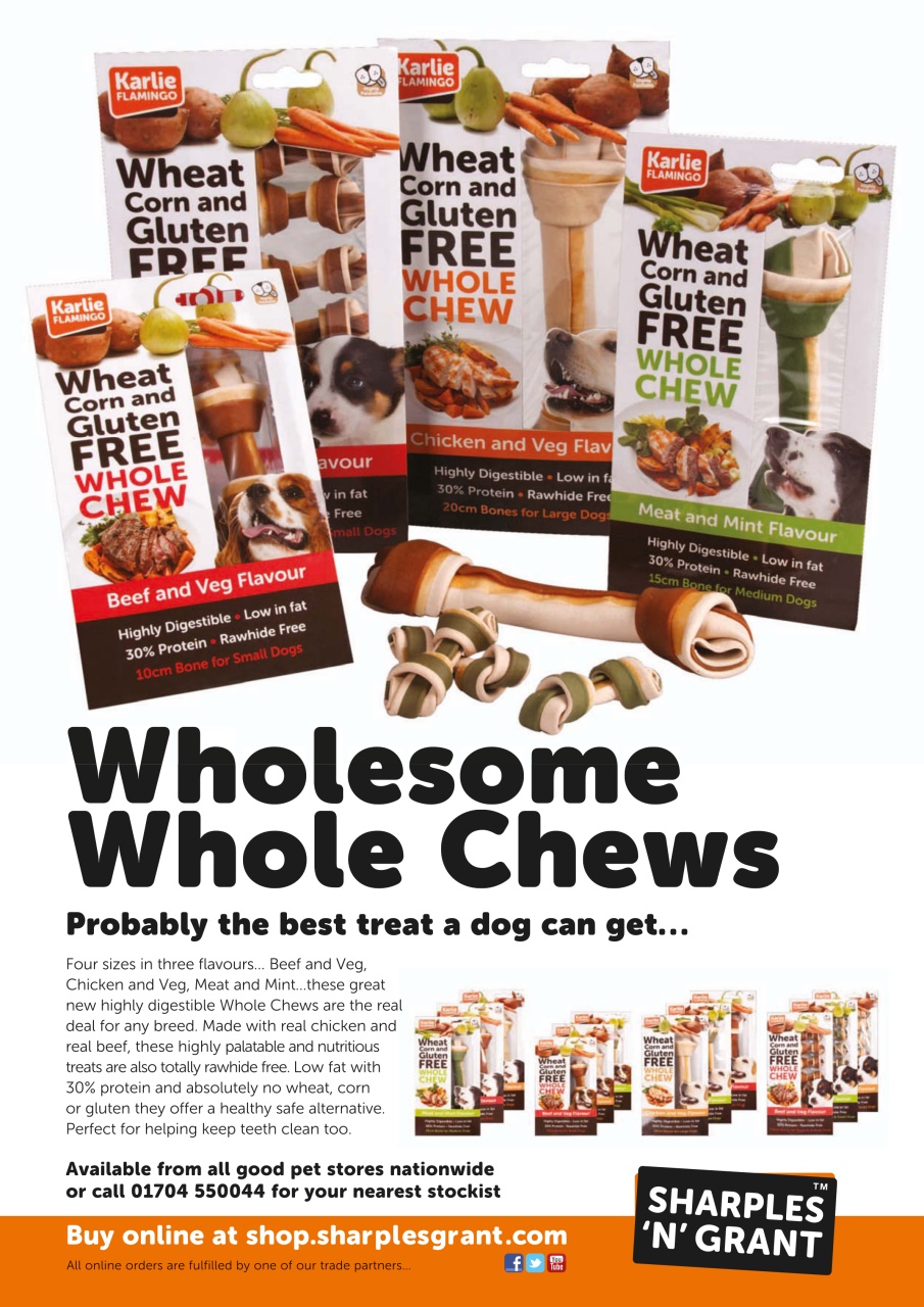 Dogs Today Magazine Preview Pages