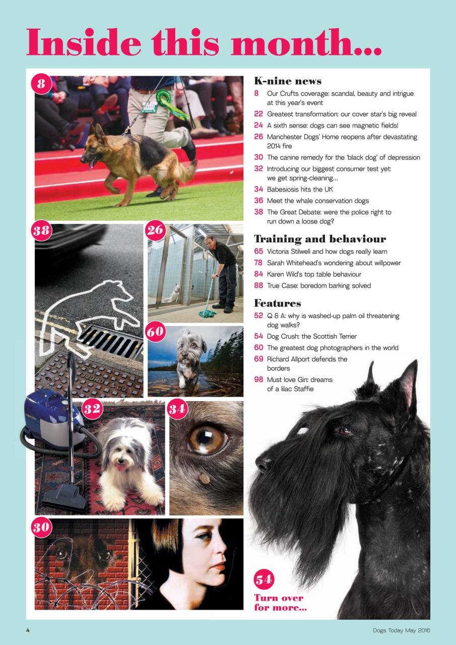 Dogs Today Magazine Preview Pages