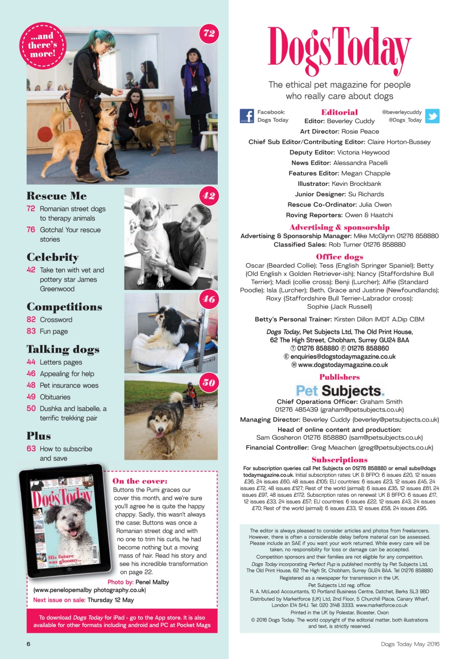 Dogs Today Magazine Preview Pages