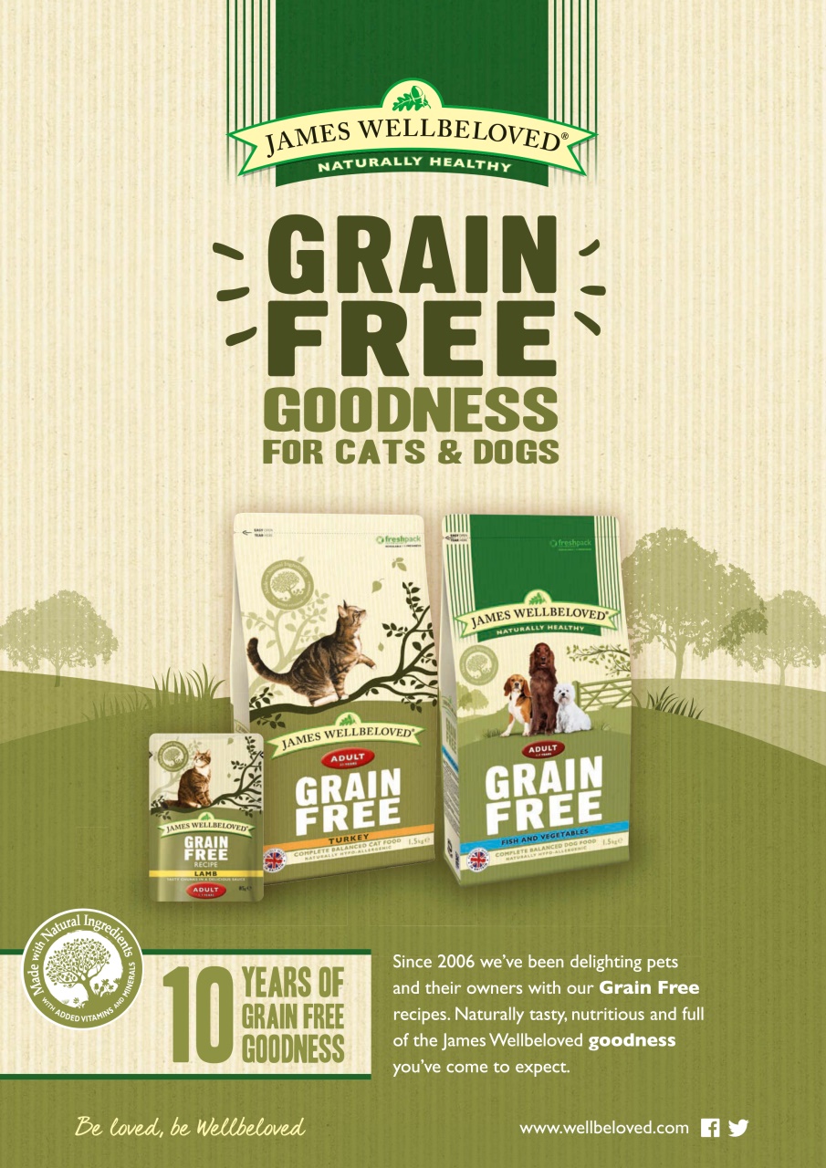 Dogs Today Magazine Preview Pages