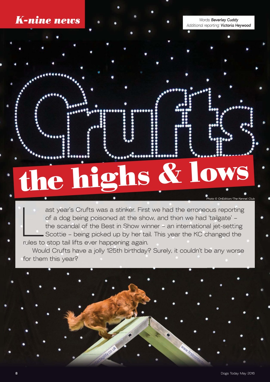 Dogs Today Magazine Preview Pages