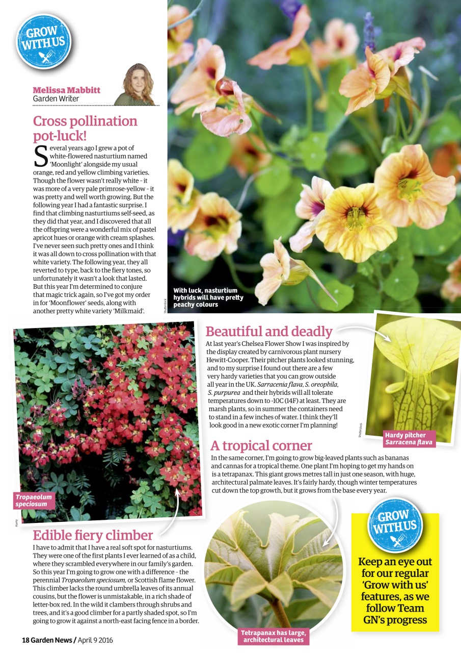 Garden News Preview Pages