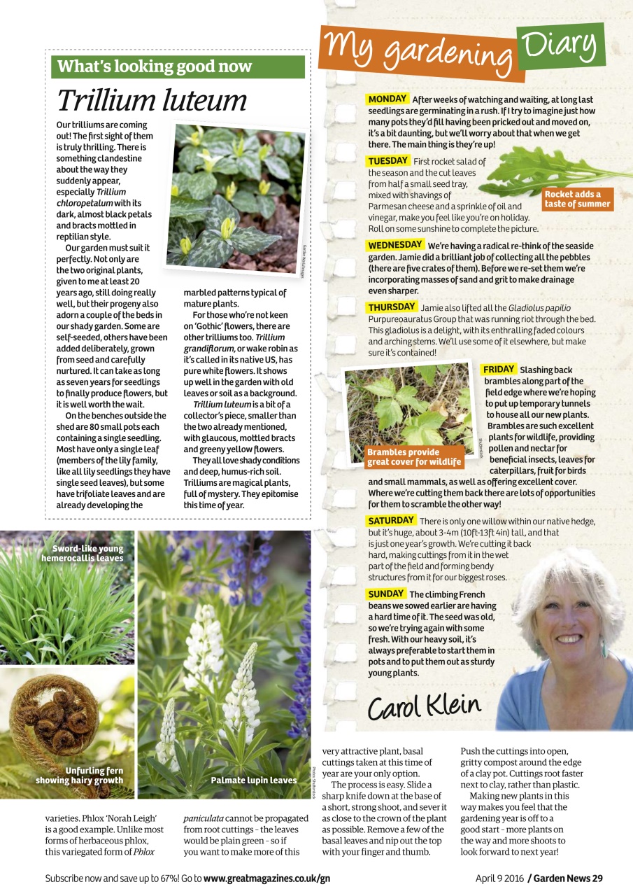 Garden News Preview Pages
