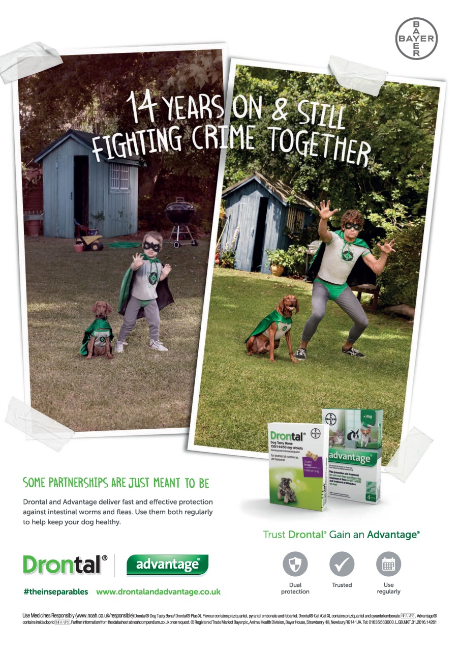 Your Dog Preview Pages