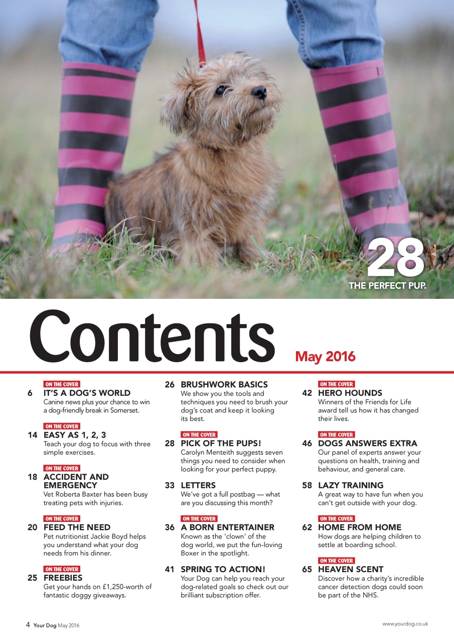 Your Dog Preview Pages