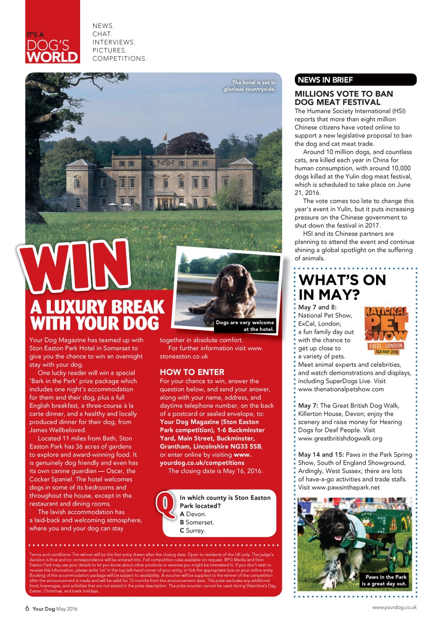 Your Dog Preview Pages