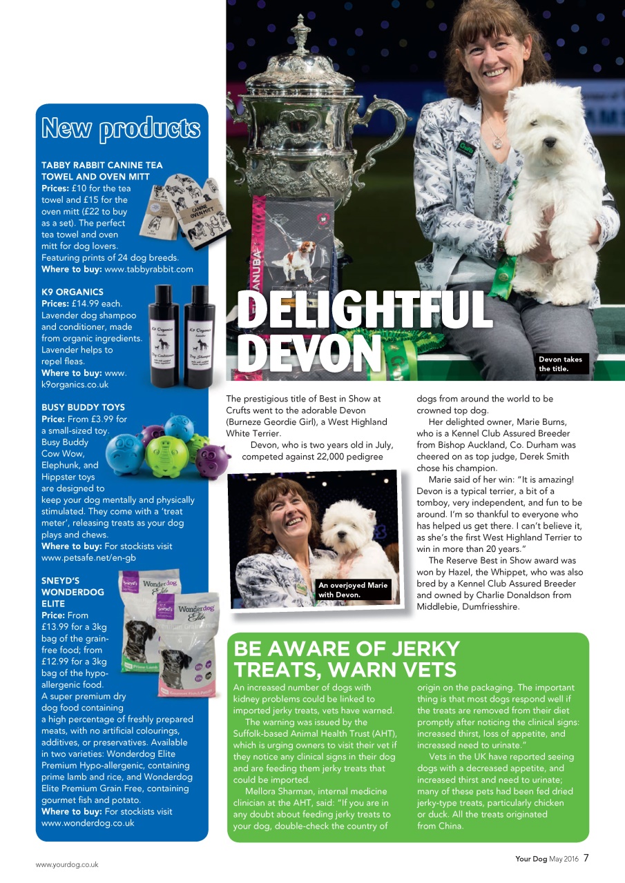 Your Dog Preview Pages