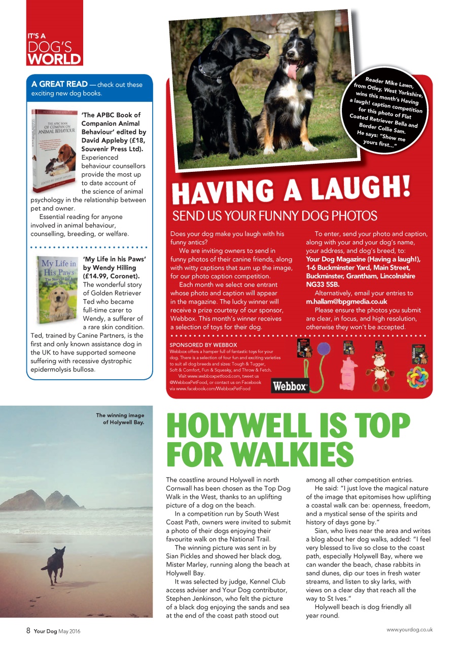 Your Dog Preview Pages