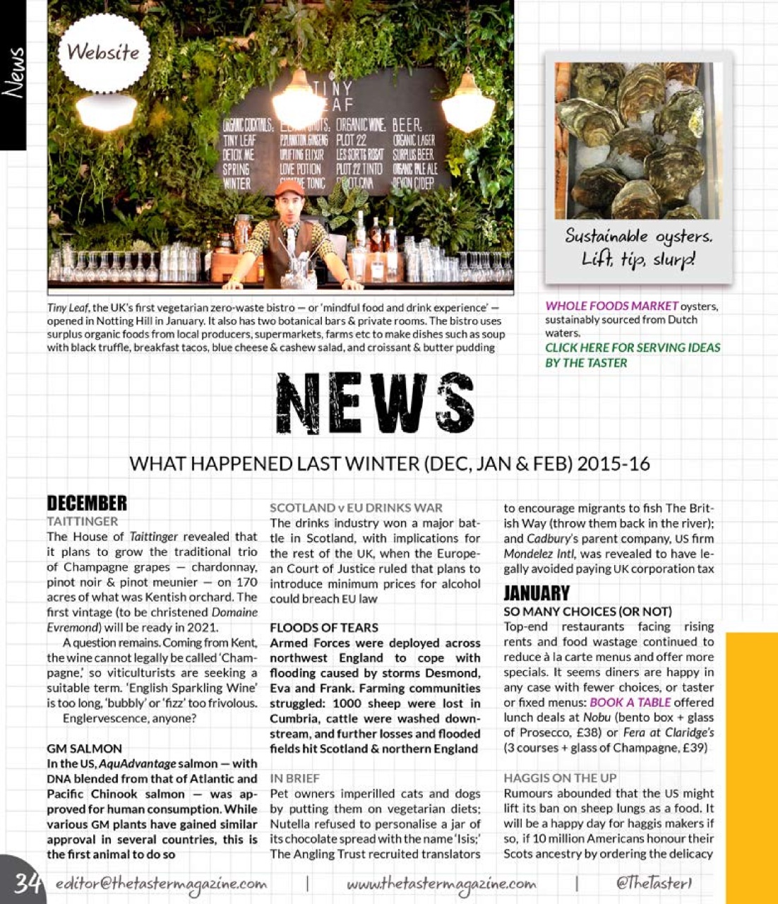 The Taster Magazine Preview Pages