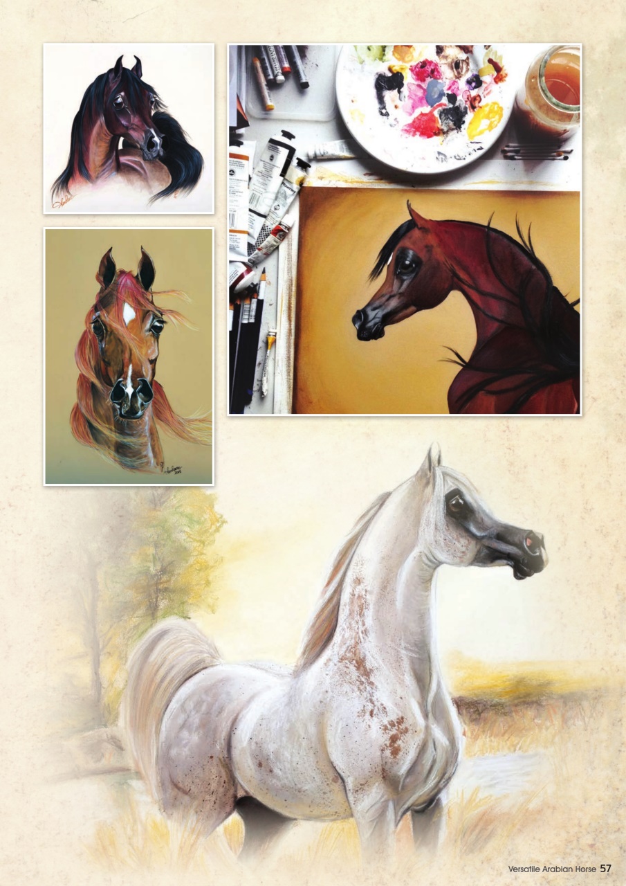 Australian Arabian Horse News Preview Pages