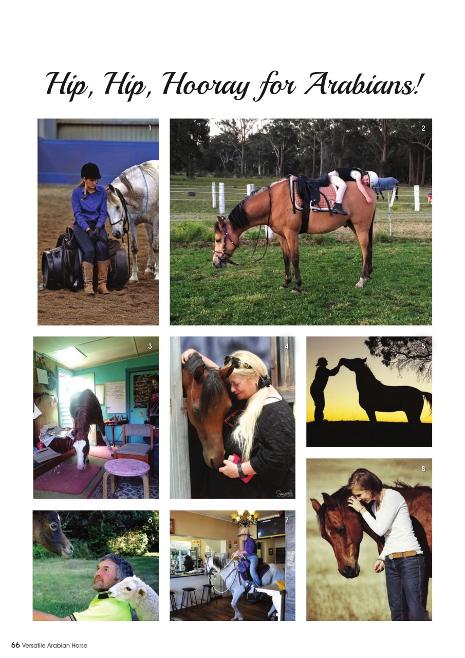 Australian Arabian Horse News Preview Pages
