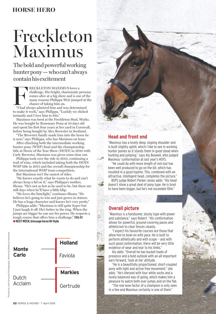 Horse & Hound Preview Pages