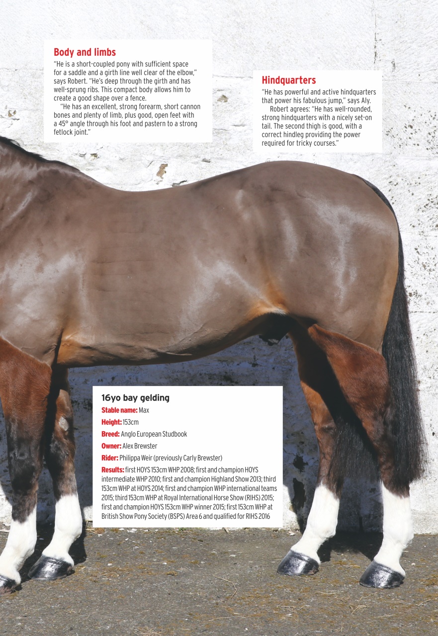 Horse & Hound Preview Pages