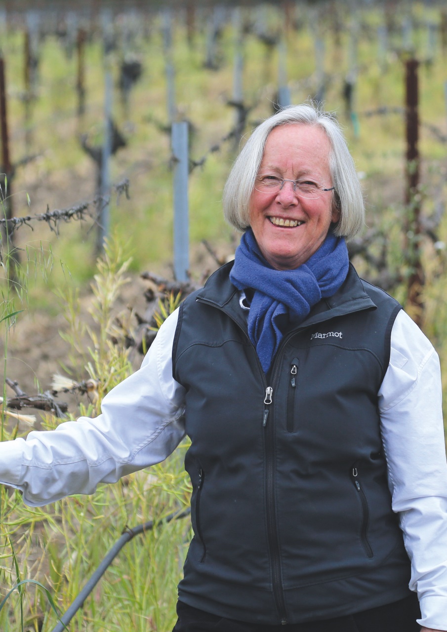 Decanter Preview Pages