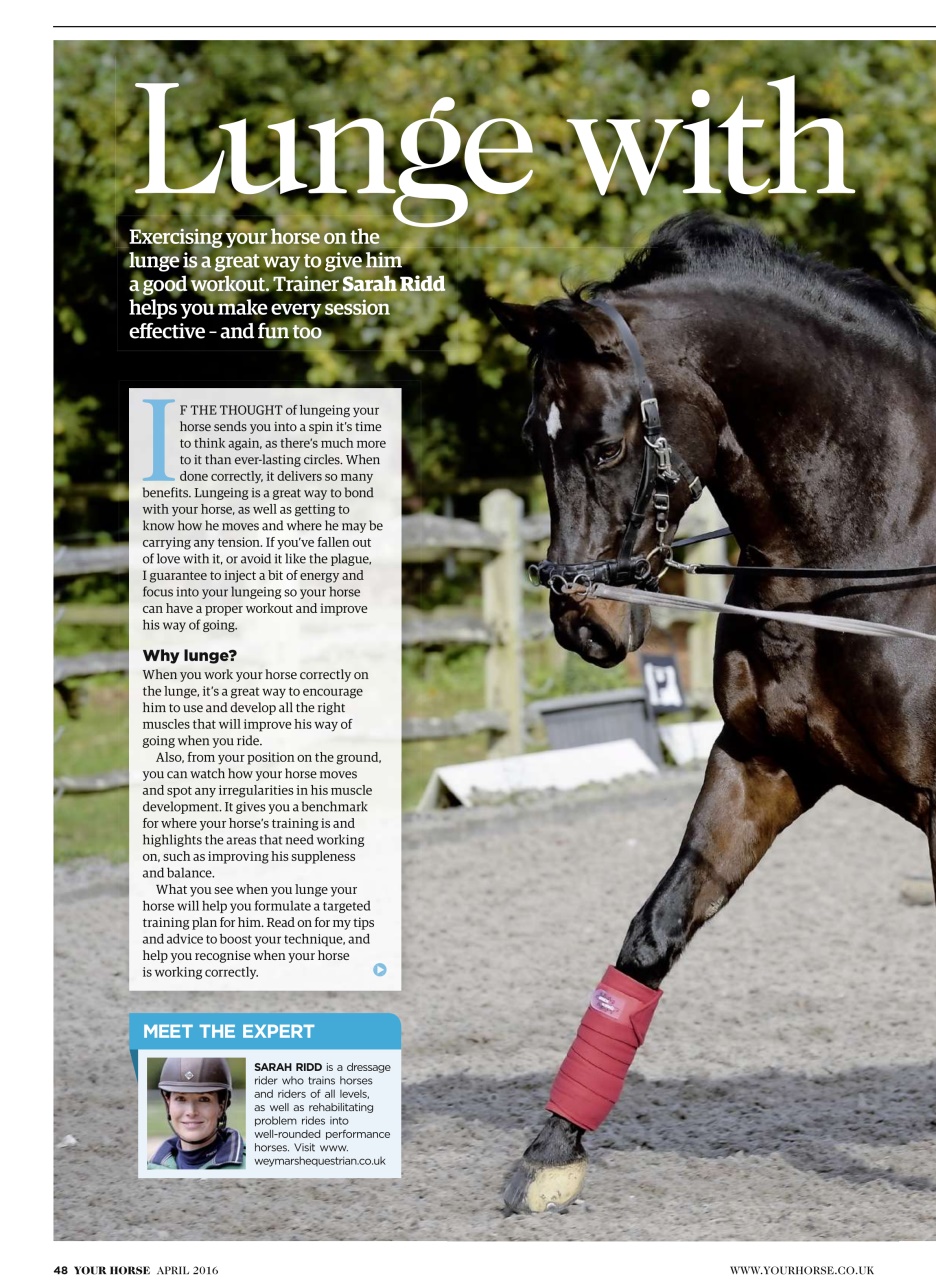 Your Horse Preview Pages