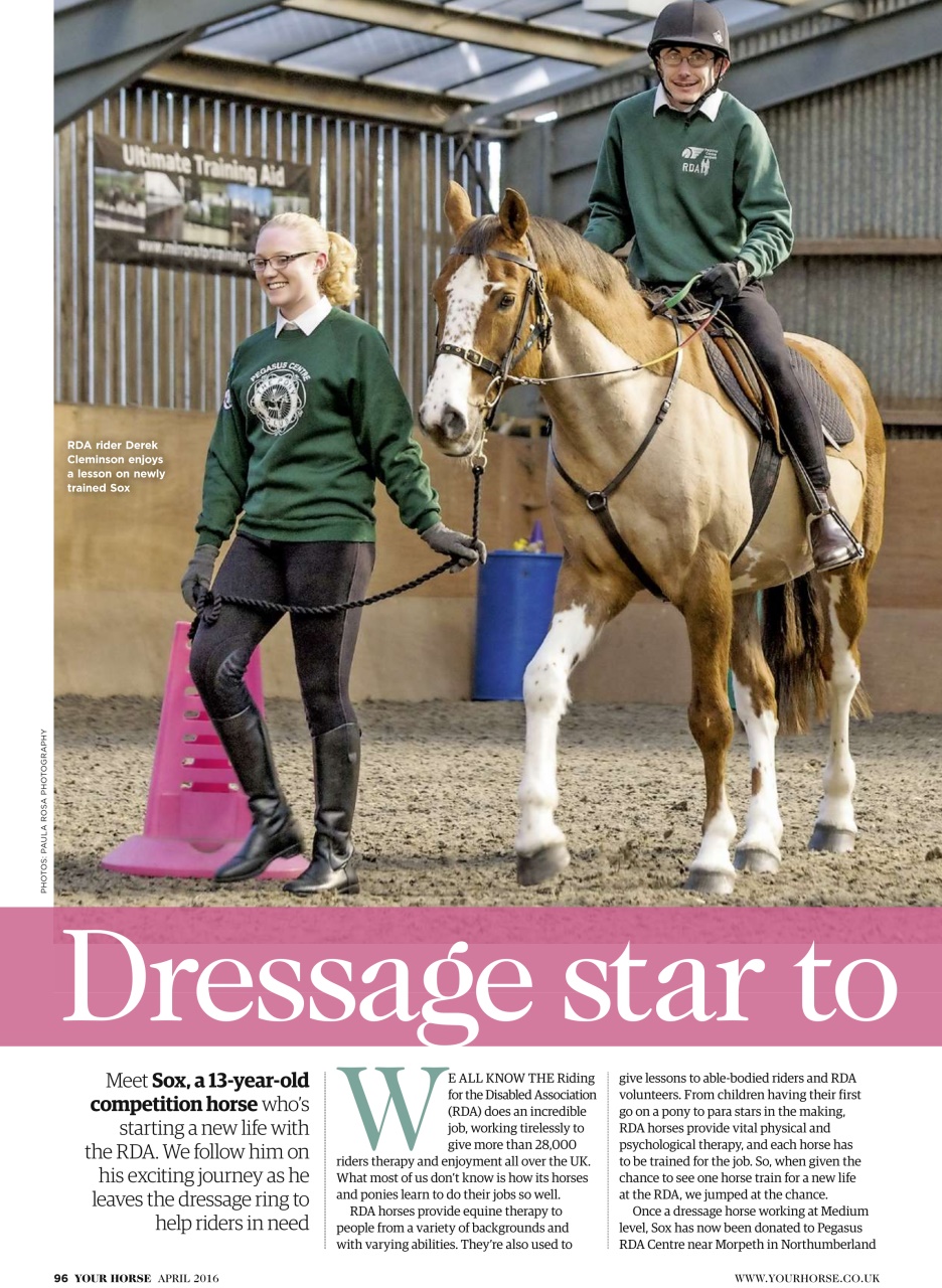 Your Horse Preview Pages