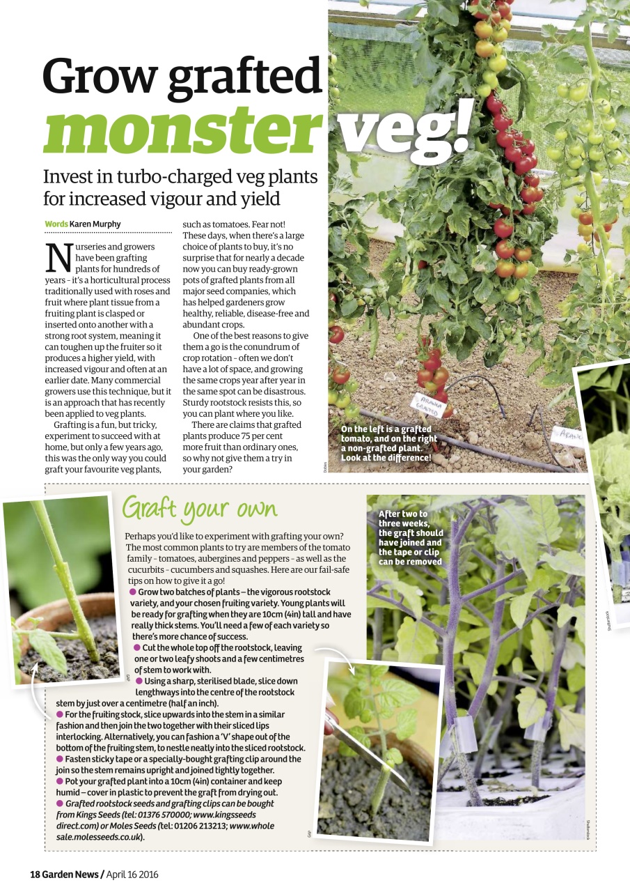 Garden News Preview Pages
