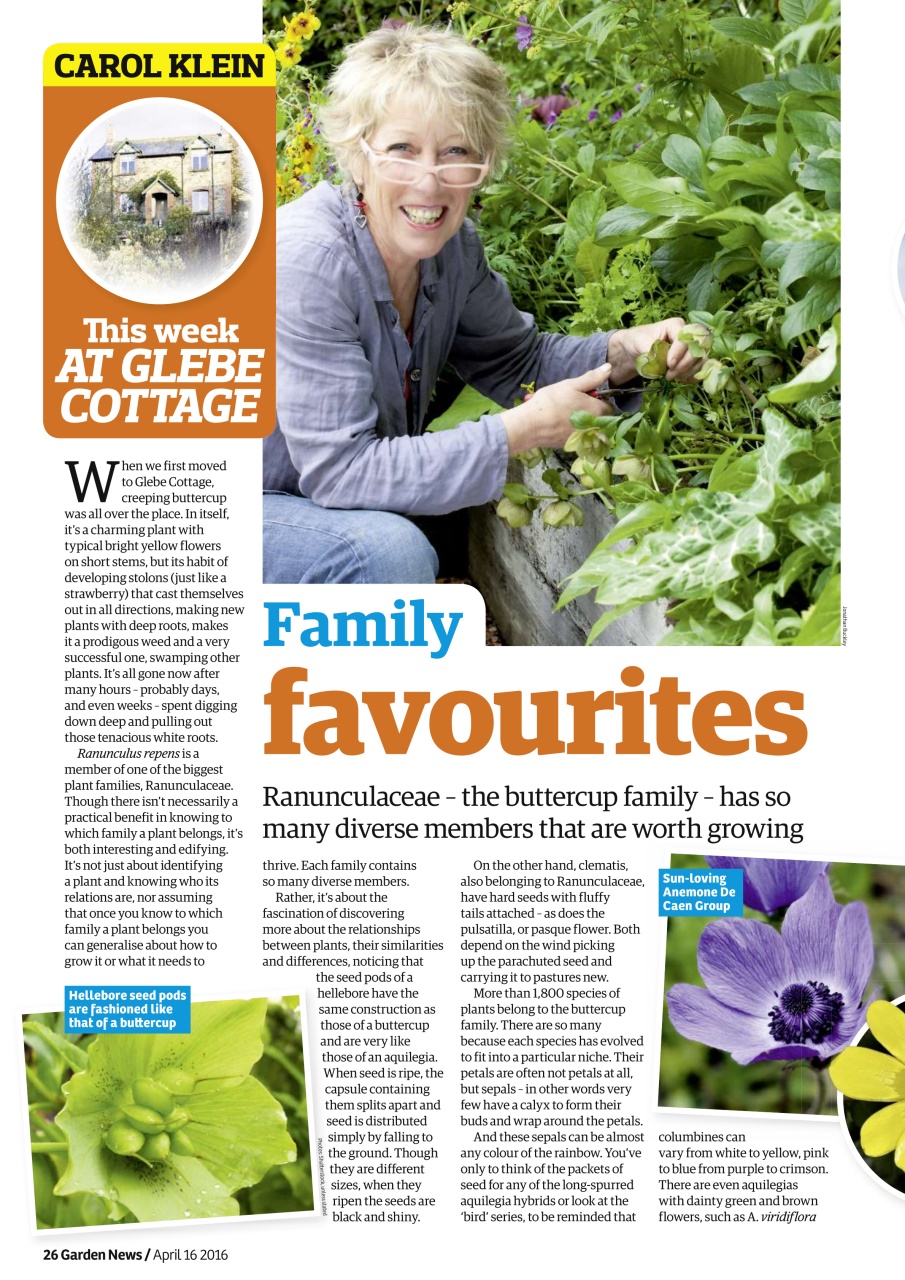Garden News Preview Pages