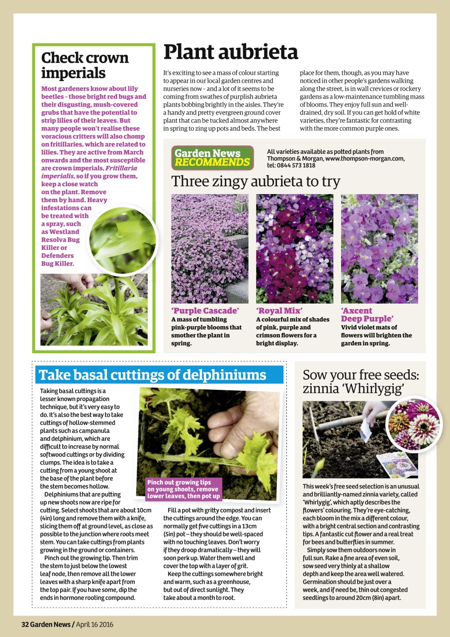 Garden News Preview Pages