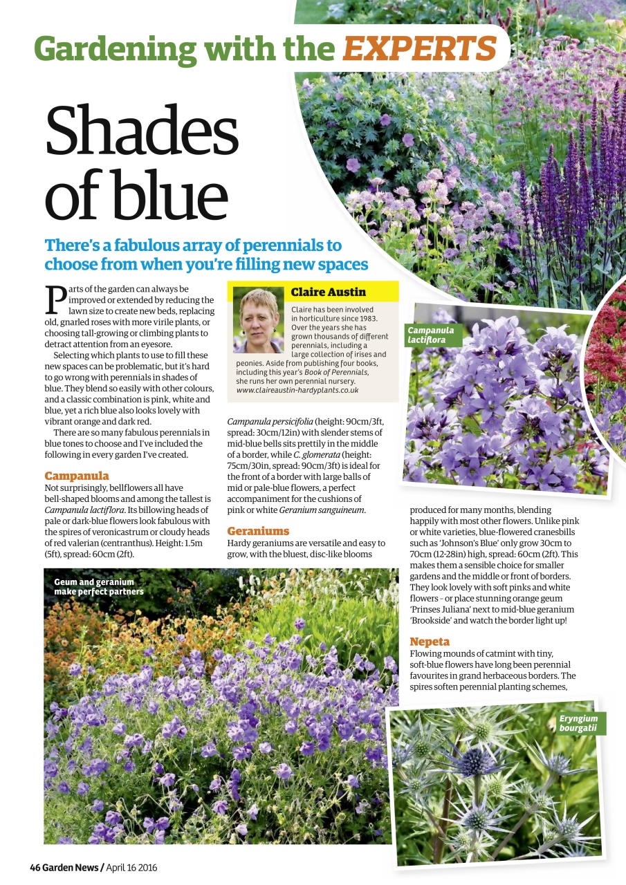 Garden News Preview Pages