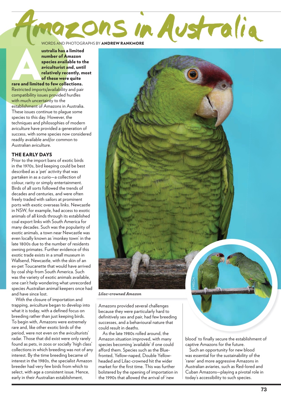 Australian Birdkeeper Magazine Preview Pages