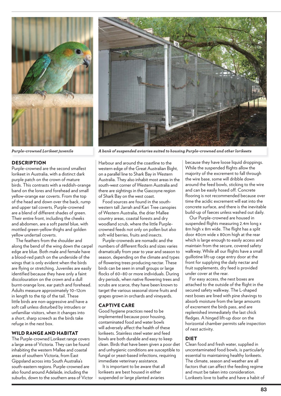Australian Birdkeeper Magazine Preview Pages