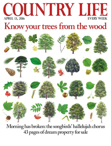 Country Life issue 