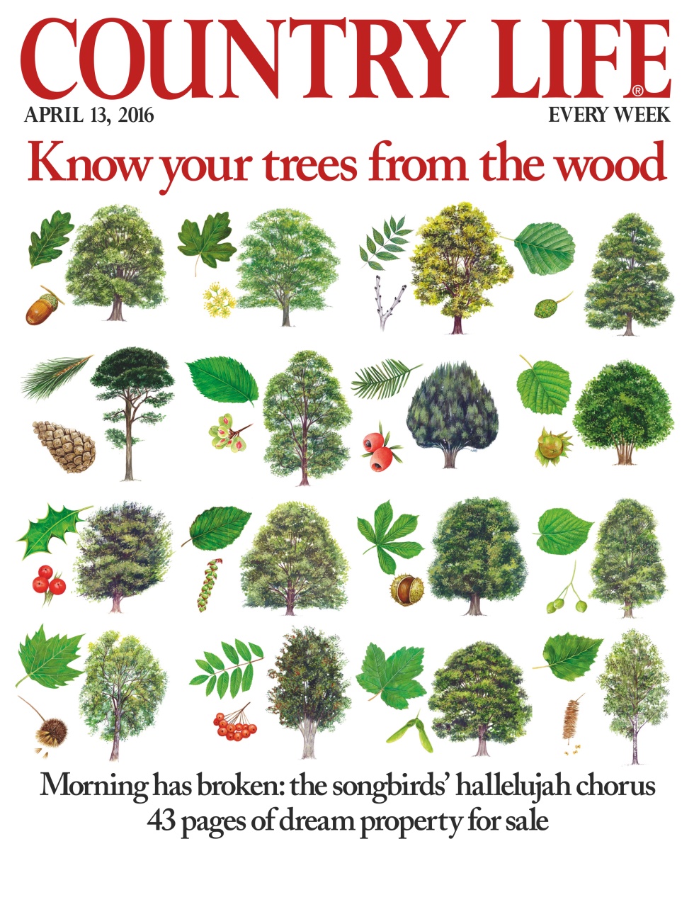 Country Life Preview Pages