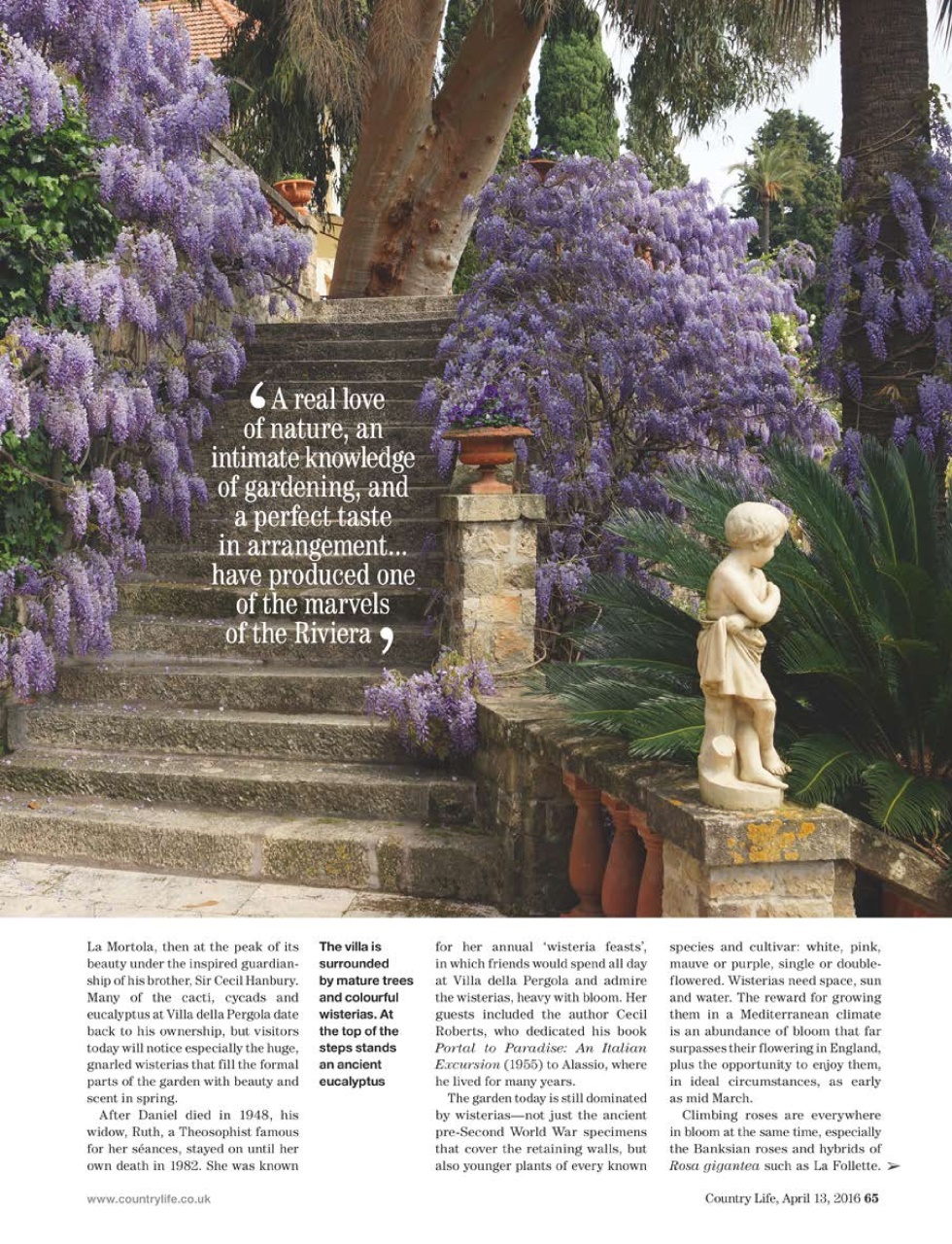 Country Life Preview Pages