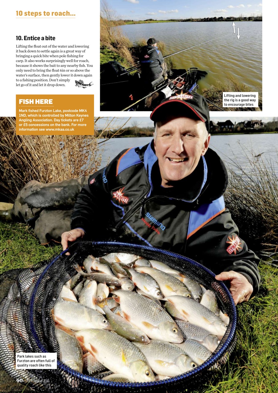 Improve Your Coarse Fishing Preview Pages