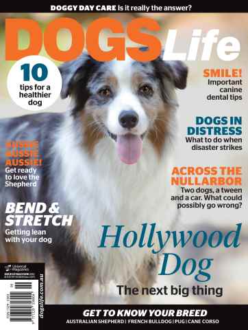 May/Jun Issue#137 issue May/Jun Issue#137